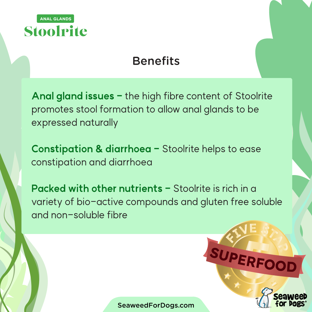 SEAWEED FOR DOGS Stoolrite