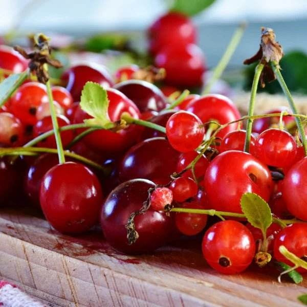 NEW NORDIC Cran Berry Vegan Gummies 60 Gummies