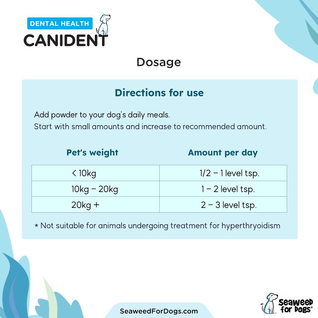 SEAWEED FOR DOGS Canident