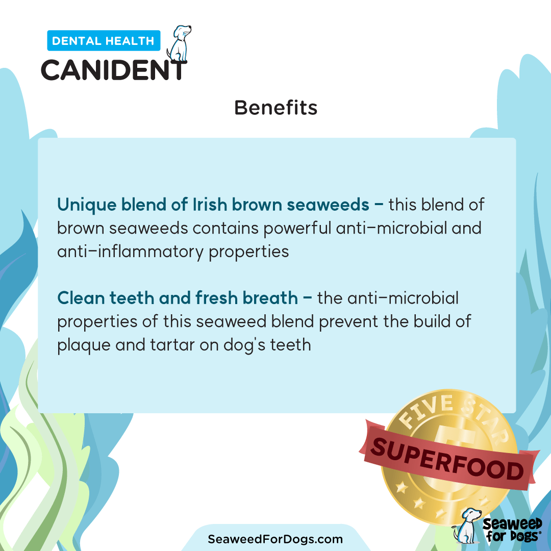 SEAWEED FOR DOGS Canident