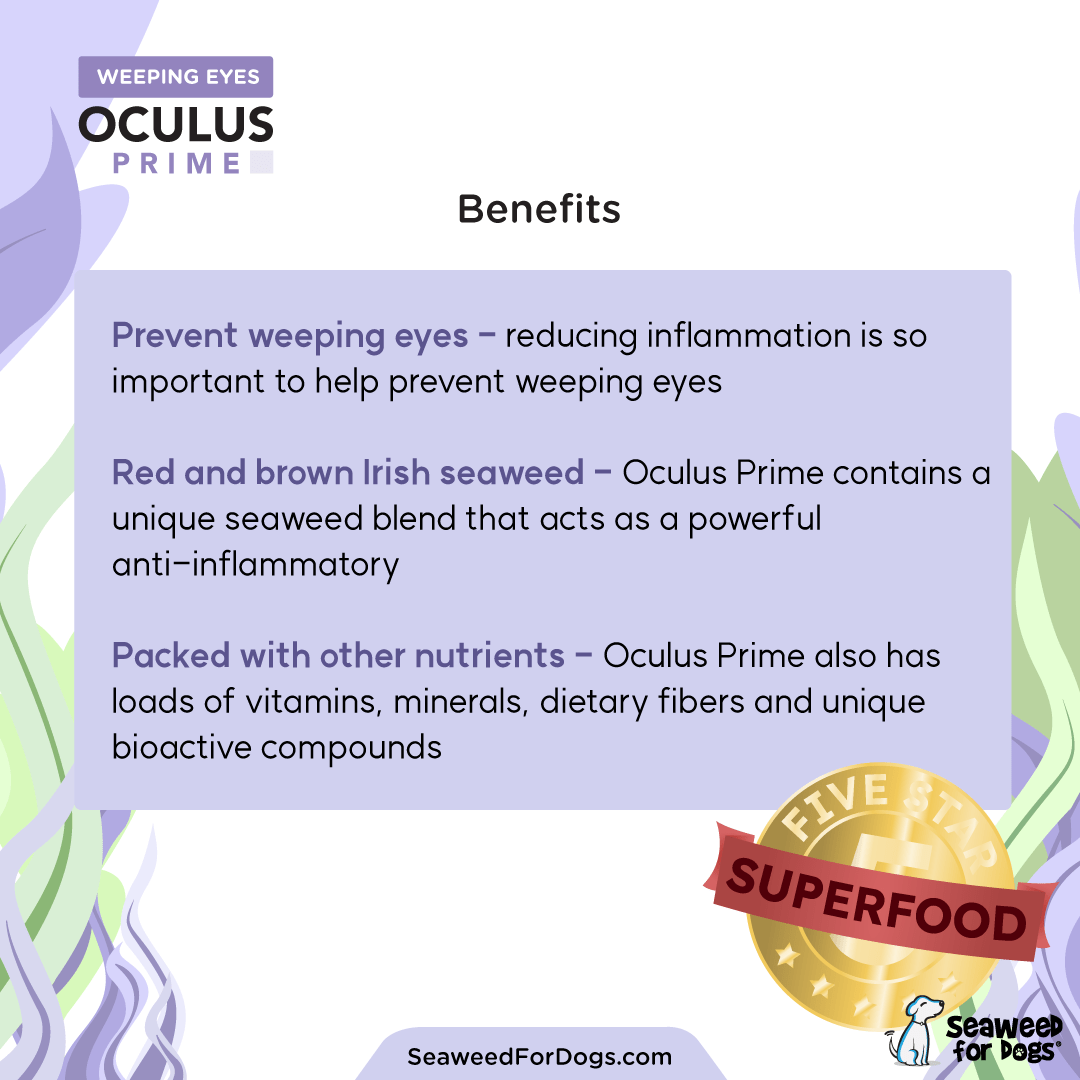 SEAWEED FOR DOGS Oculus Prime