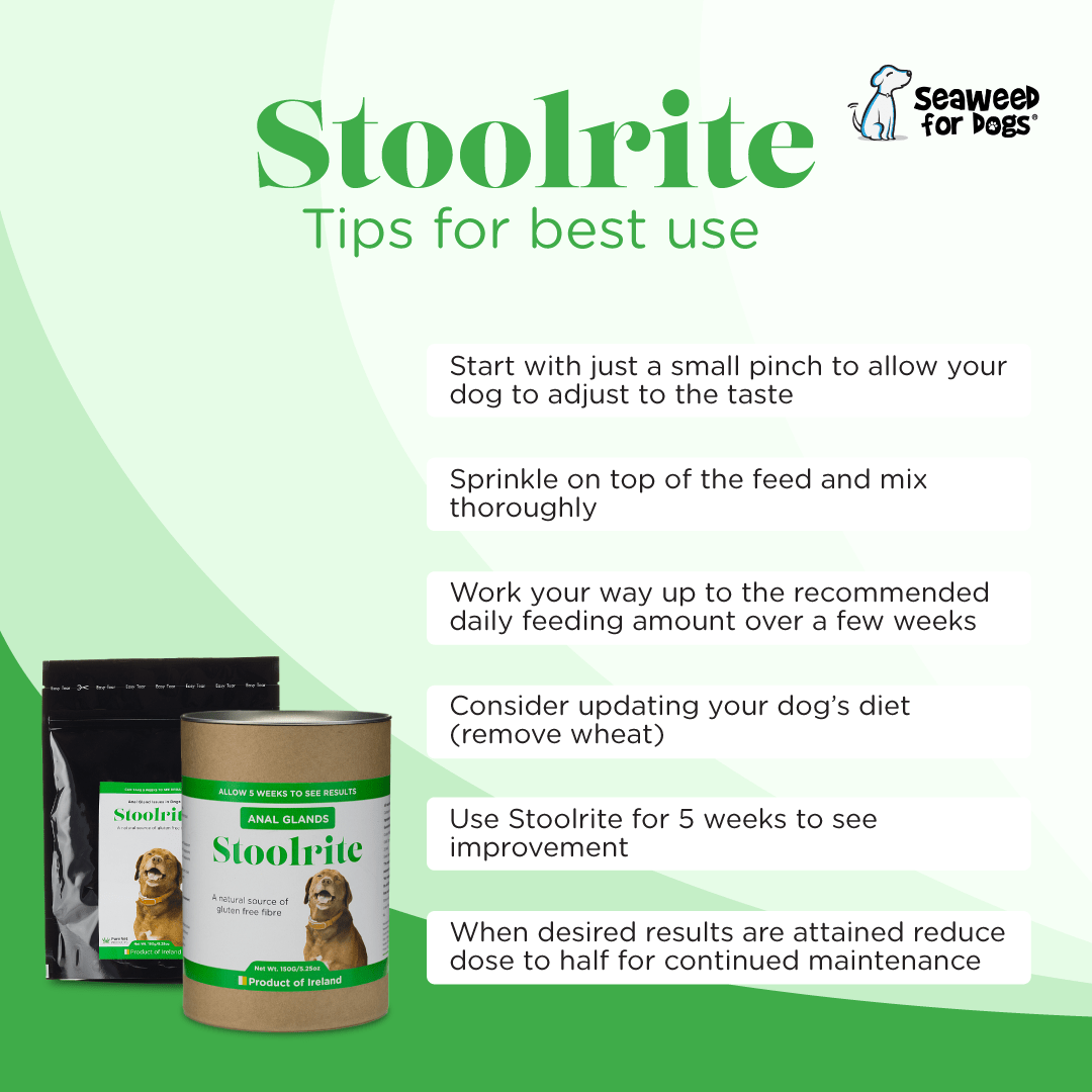 SEAWEED FOR DOGS Stoolrite