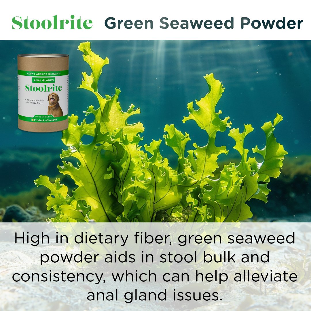 SEAWEED FOR DOGS Stoolrite