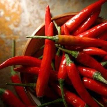 NEW NORDIC Chili Burn Max 60 Tablets
